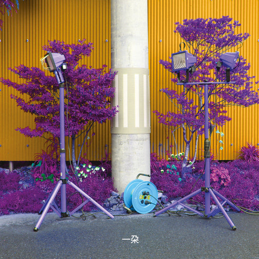 Eiko Ishibashi & Darin Gray – Ichida [USED LP]
