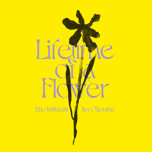 Eiko Ishibashi / Jim O'Rourke – Lifetime of a Flower [USED LP]