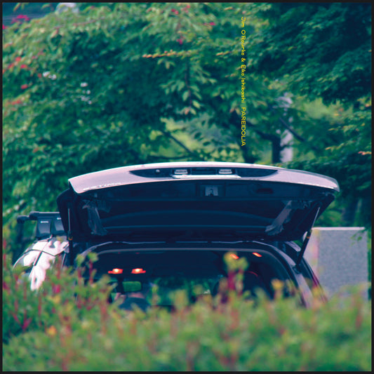 Eiko Ishibashi / Jim O'Rourke – Pareidolia [LP]