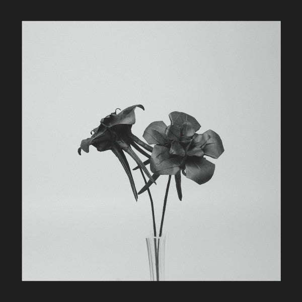 Jlin – Dark Lotus [USED 12"]