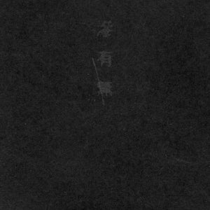 Keiji Haino – Nijiumu [USED 2LP]