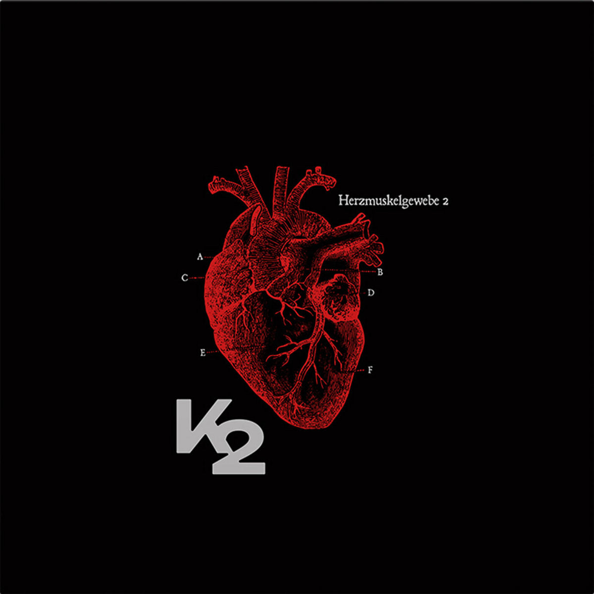 K2 –  Herzmuskelgewebe 2 [LP]