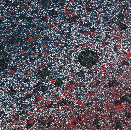 Leitmotiv Limbo – Superior State [LP]