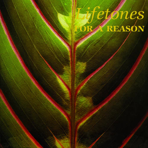 Lifetones – For a Reason [USED LP]