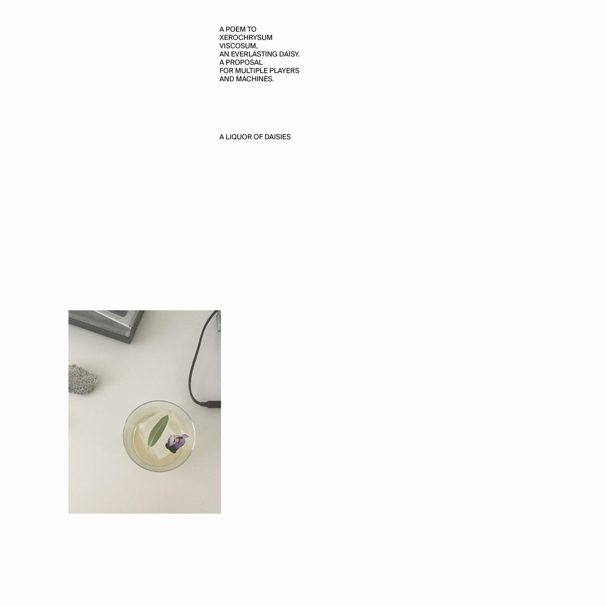 Lisa Lerkenfeldt – A Liquor Of Daisies [CS]