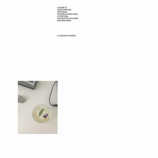 Lisa Lerkenfeldt – A Liquor Of Daisies [CS]