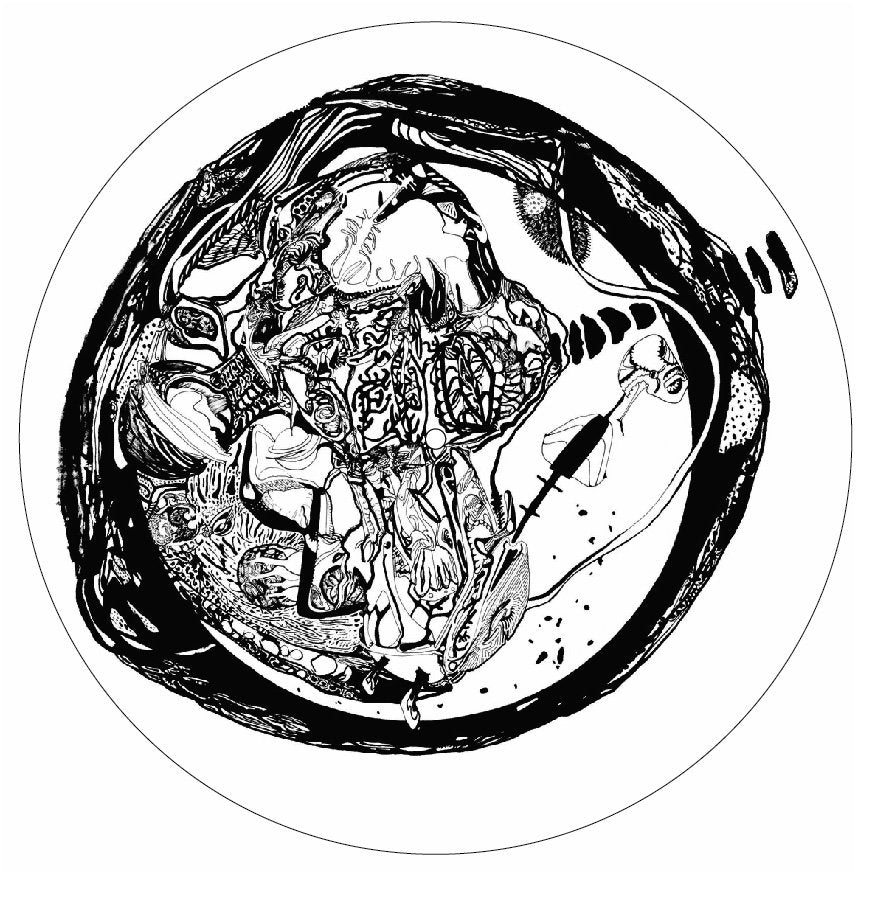 The Loop Orchestra – ∞8 LockdowN 8∞ [LP]