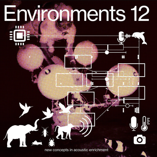 Machine Listening – Environments 12: new concepts in acoustic enrichment [LP]