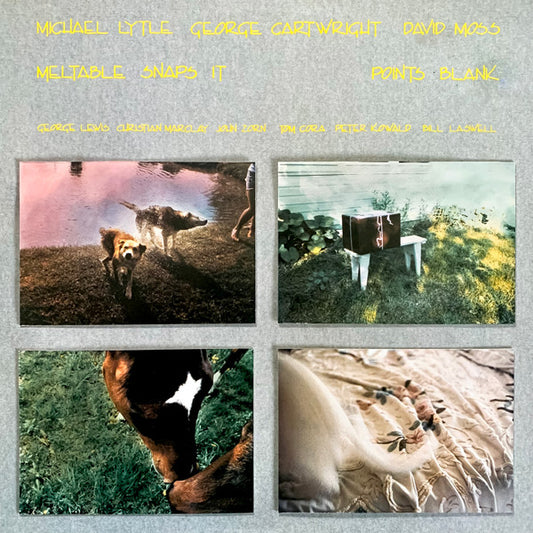 Meltable Snaps It – Points Blank [USED LP]