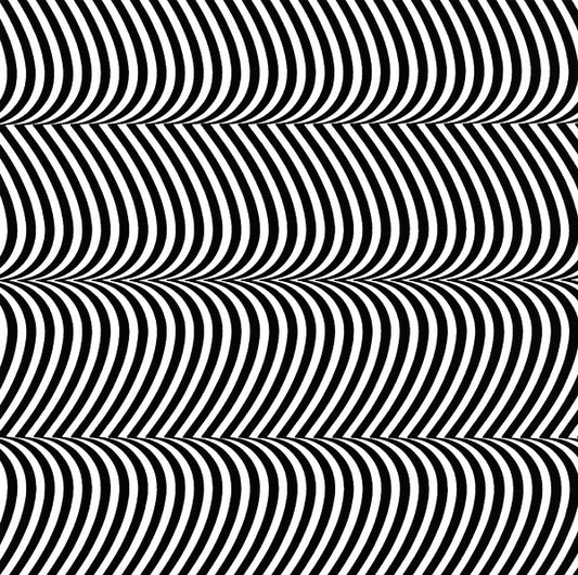 Merzbow – Pulse Demon [USED CD]