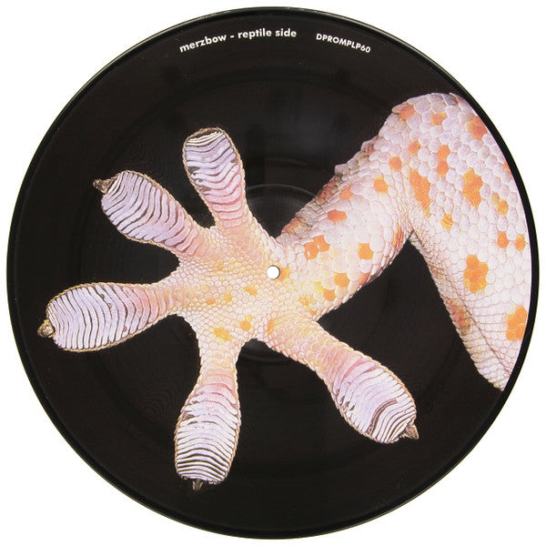 Merzbow / Band of Pain – The Celebration Of The Lizard / March Of The Myriapoda [USED LP]