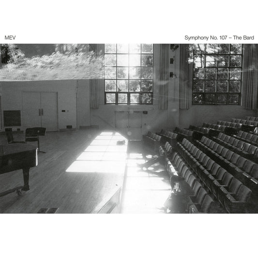 Musica Elettronica Viva – Symphony No. 107 - The Bard [LP]