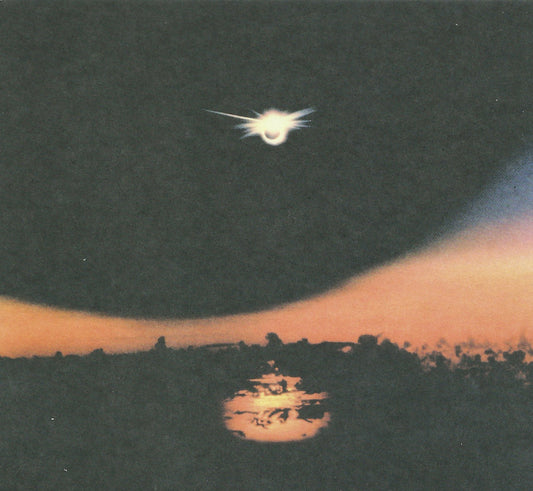 Mirroring – Foreign Body [LP]