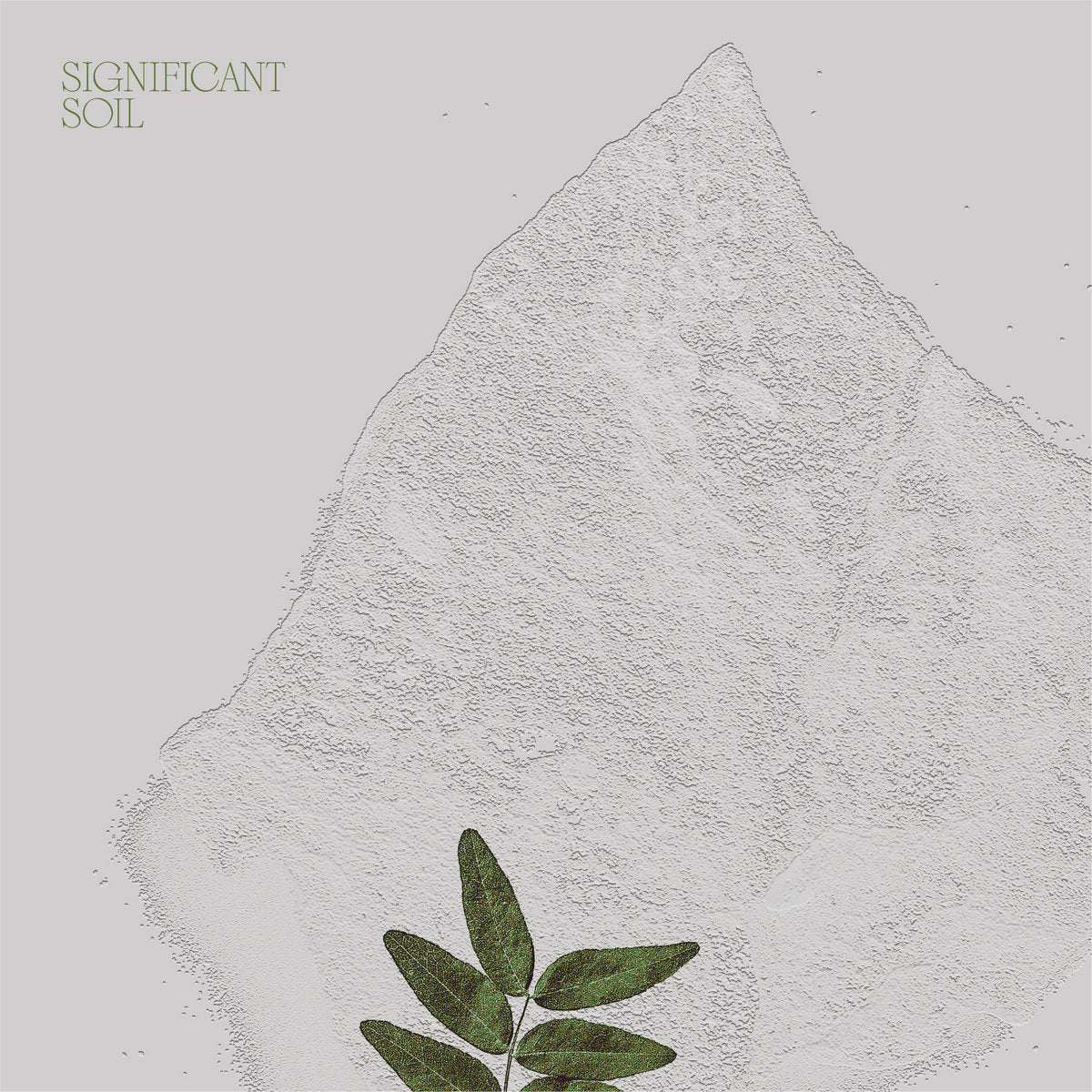 Mister Water Wet – Significant Soil [USED LP]