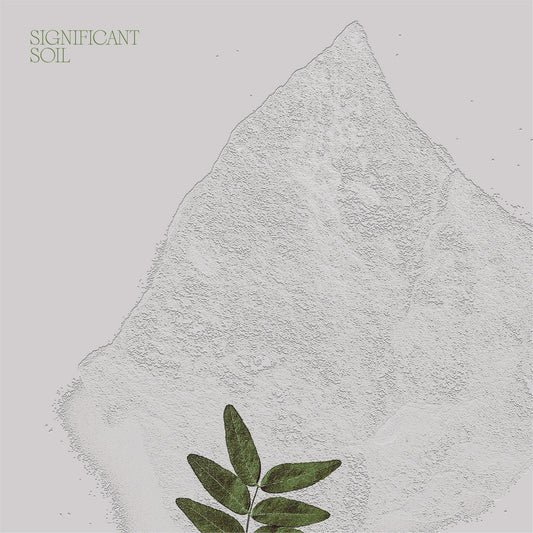 Mister Water Wet – Significant Soil [USED LP]