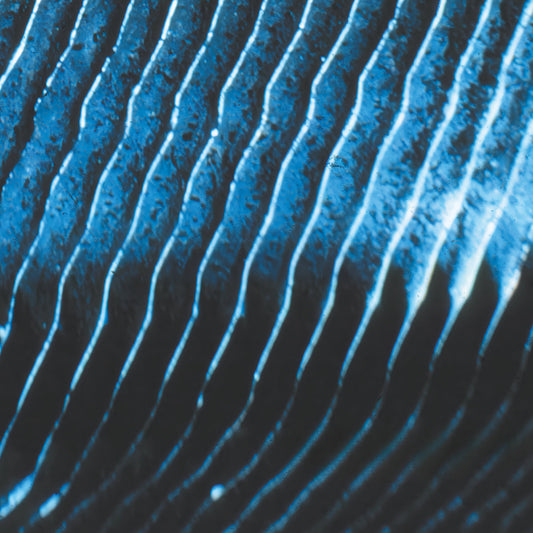 Monolake – Gravity [2LP]