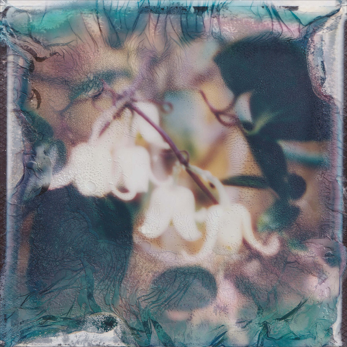 Svitlana Nianio & Tom James Scott – Eye of the Sea [USED LP]