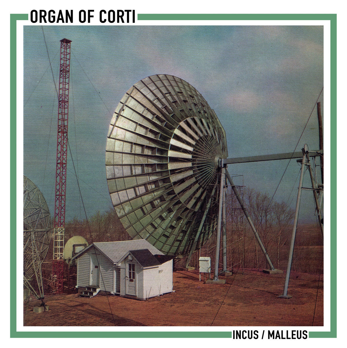 Organ of Corti – Incus / Malleus [7"]