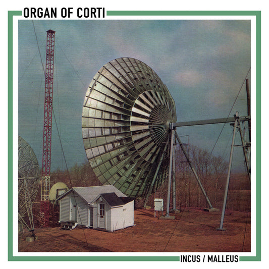 Organ of Corti – Incus / Malleus [7"]
