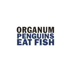 Organum / David Jackman – Penguins Eat Fish / Little Dark Wing [USED 7"]