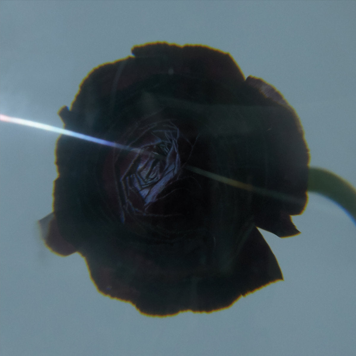 Pablo's Eye – Dark Matter [LP]