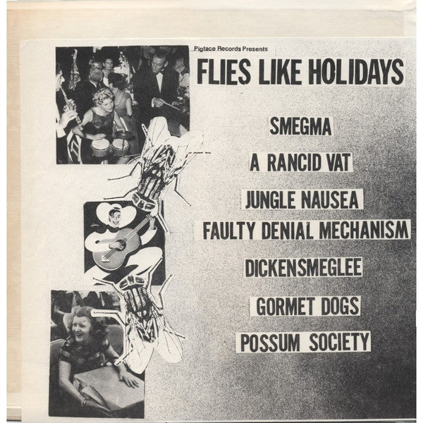 Various – Flies Like Holidays [USED LP]