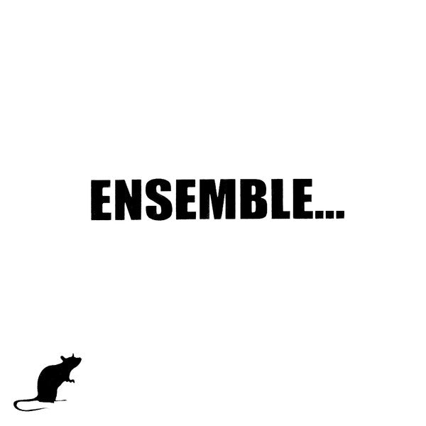 Rat Heart Ensemble – A Blues [USED LP]