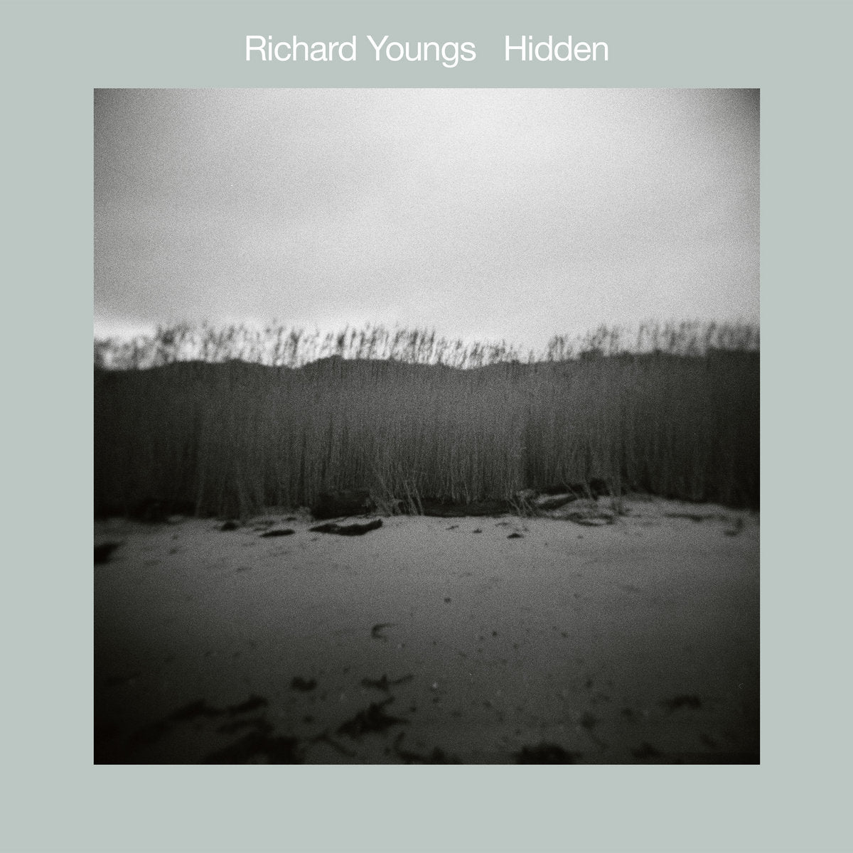 Richard Youngs – Hidden [LP]