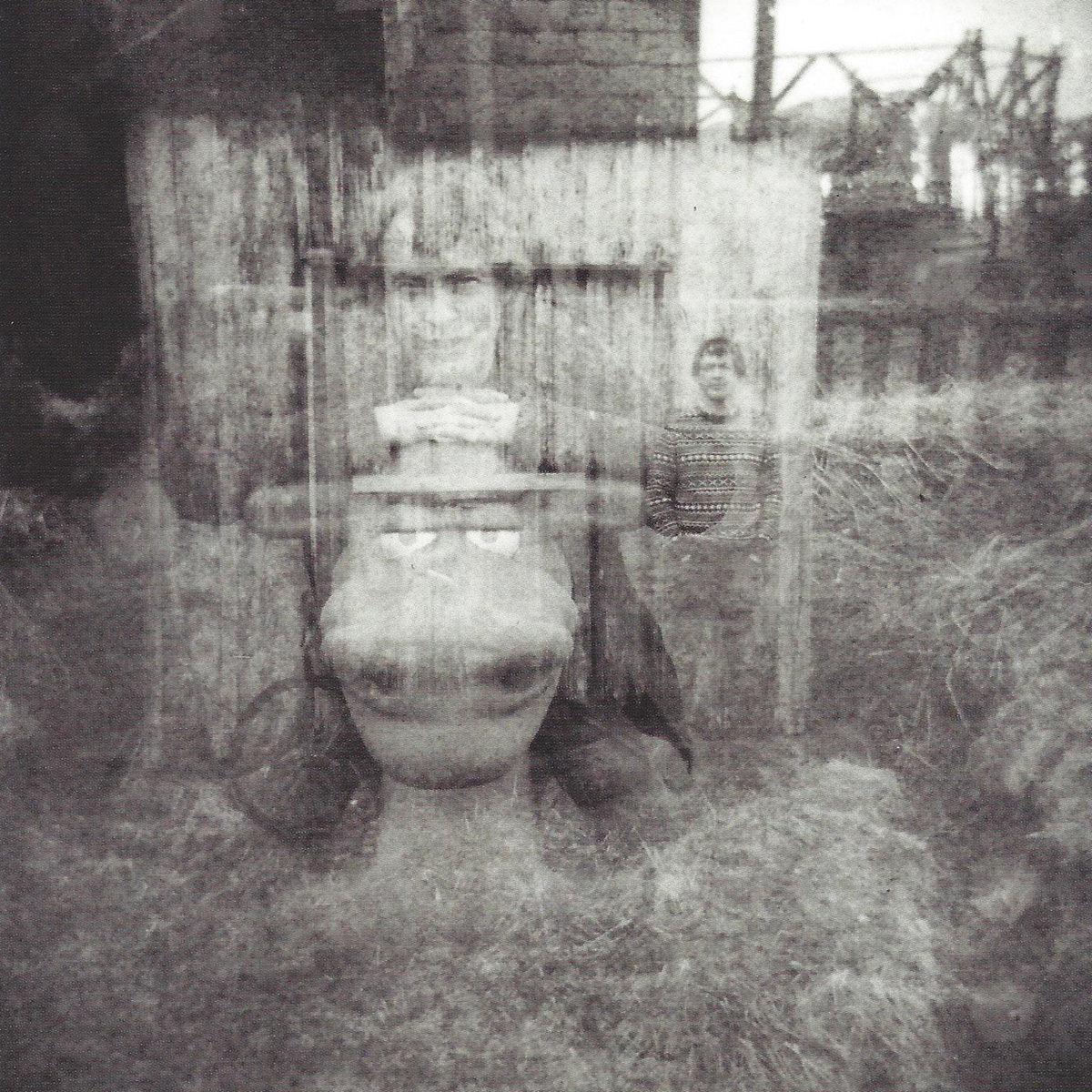 Richard Youngs – Summer Through My Mind [LP]