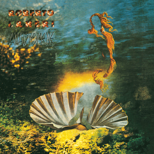 Roberto Laneri – Anadyomene [USED LP]