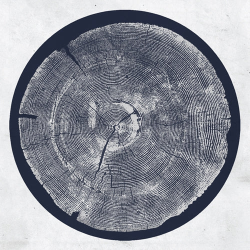 Roy Montgomery – R: Tropic of Anodyne [LP]