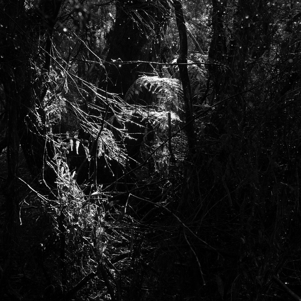 R. Rebeiro – Unrendered Language [LP]