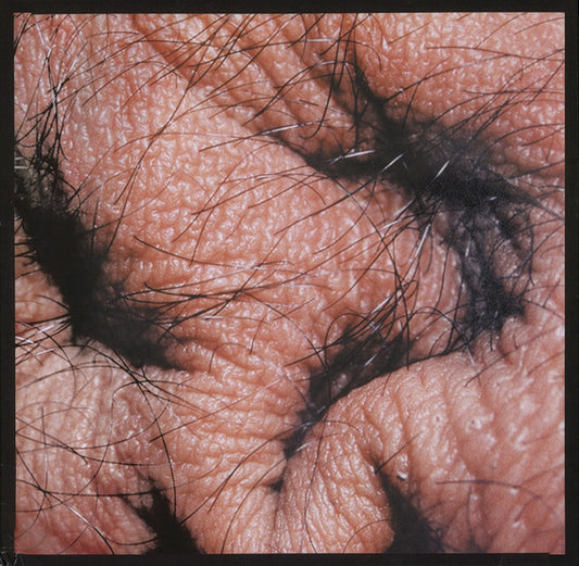 Runzelstirn & Gurgelstøck – Asshole / Snail Dilemma [USED LP]