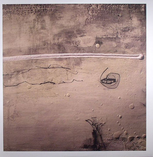 Bruce Russell / Gnarlos – Ruined Again [LP]