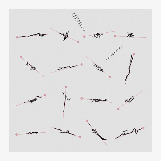 Ensemble Skalectrik – Trainwrekz [USED LP]
