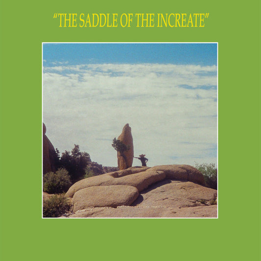 Sun Araw – The Saddle of the Increate [USED 2LP]