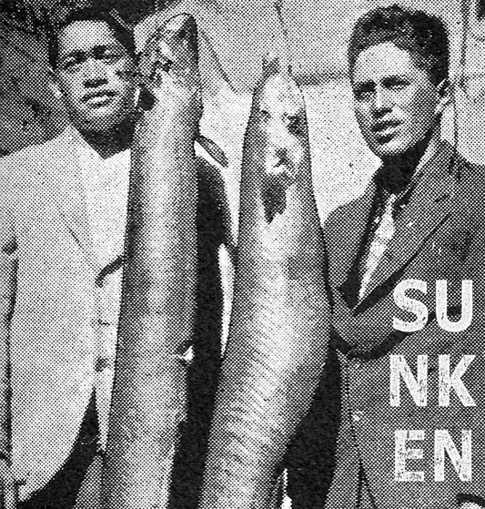 Sunken – New Zealand Eels [USED LP]