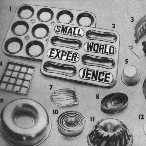Small World Experience – Shelf-Life [LP]