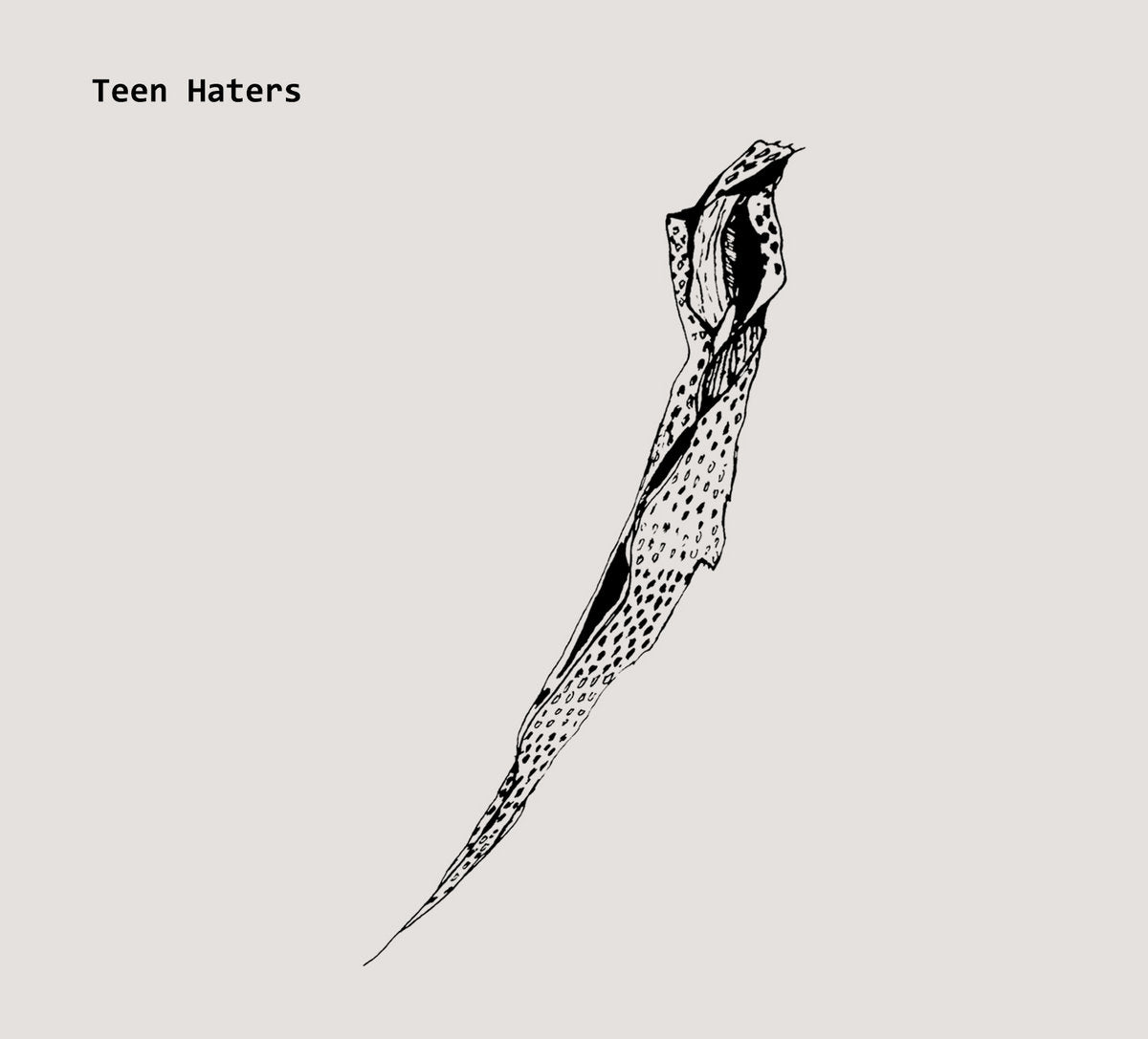 Teen Haters – Another Sunday [CD]