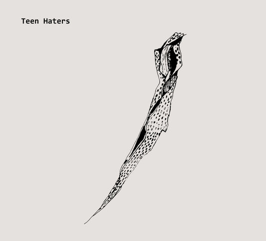 Teen Haters – Another Sunday [CD]