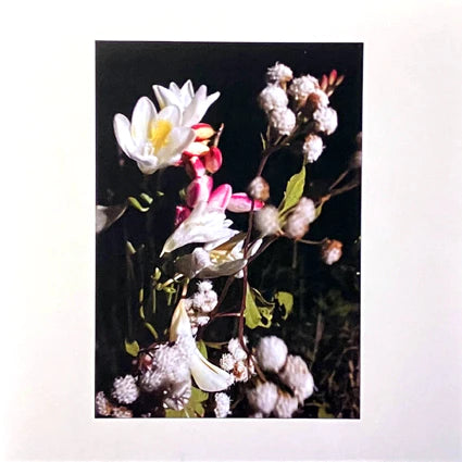 Thistle Group & P Wits – Thistle Group & P Wits [7"]