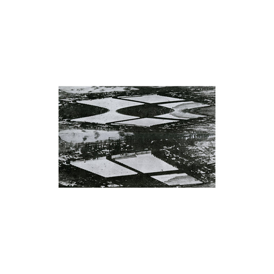 Thought Broadcast – Emergency Stairway [USED LP]