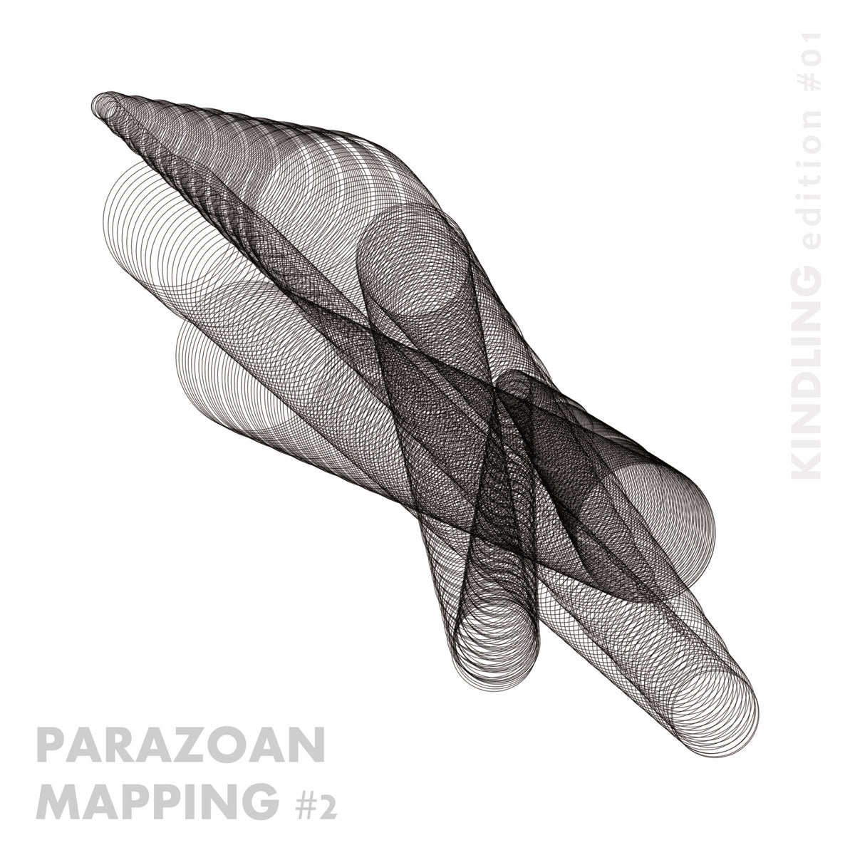 Taku Unami & Eric La Casa – KINDLING #1 - Parazoan Mapping #2 [NEWSPAPER]