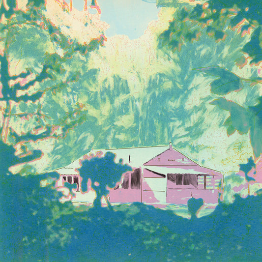 Edgar Wappenhalter – IJsschots Veenlaag Mist [LP]