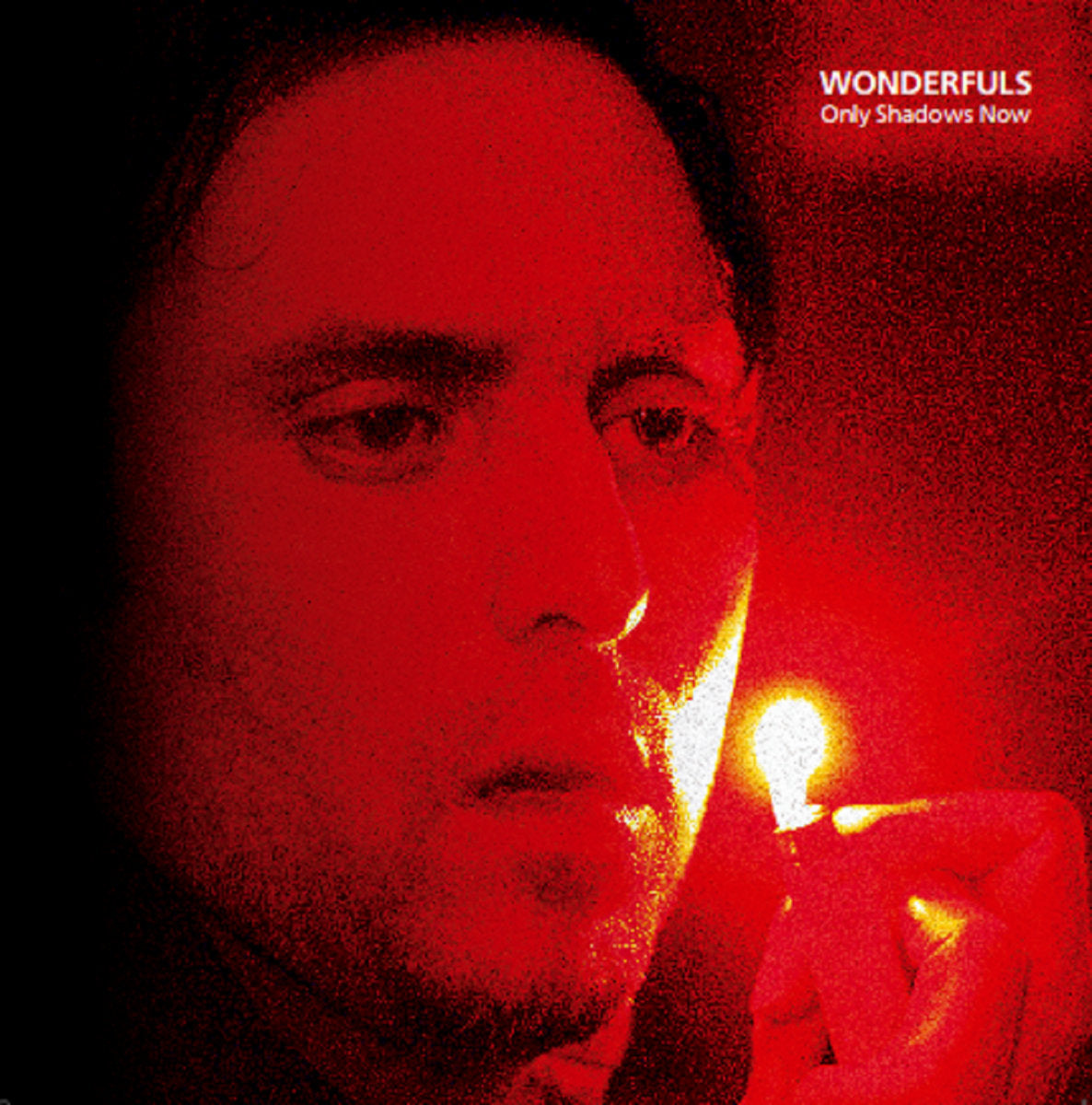 Wonderfuls – Only Shadows Now [LP]