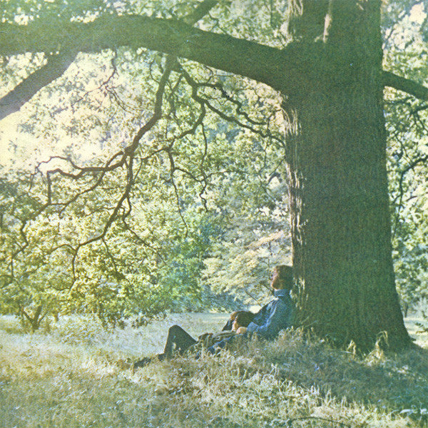 Yoko Ono – Yoko Ono / Plastic Ono Band [USED LP]