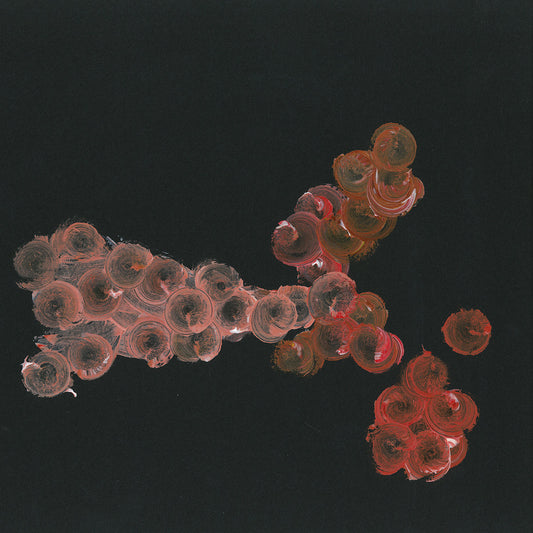 Wally Shoup, Greg Campbell, Greg Kelley, Bill Nace – One End to the Other [LP]