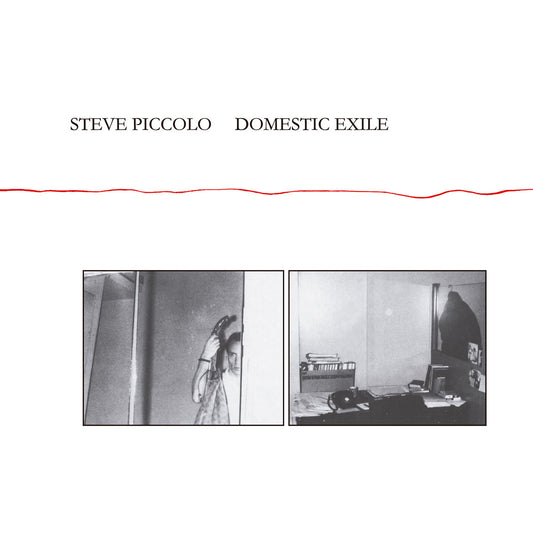 Steve Piccolo – Domestic Exile [LP]
