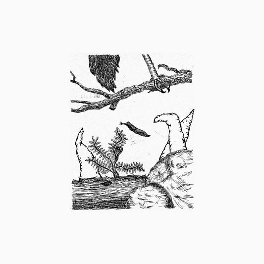 Small Cruel Party – è vago fior del tempo [LP]