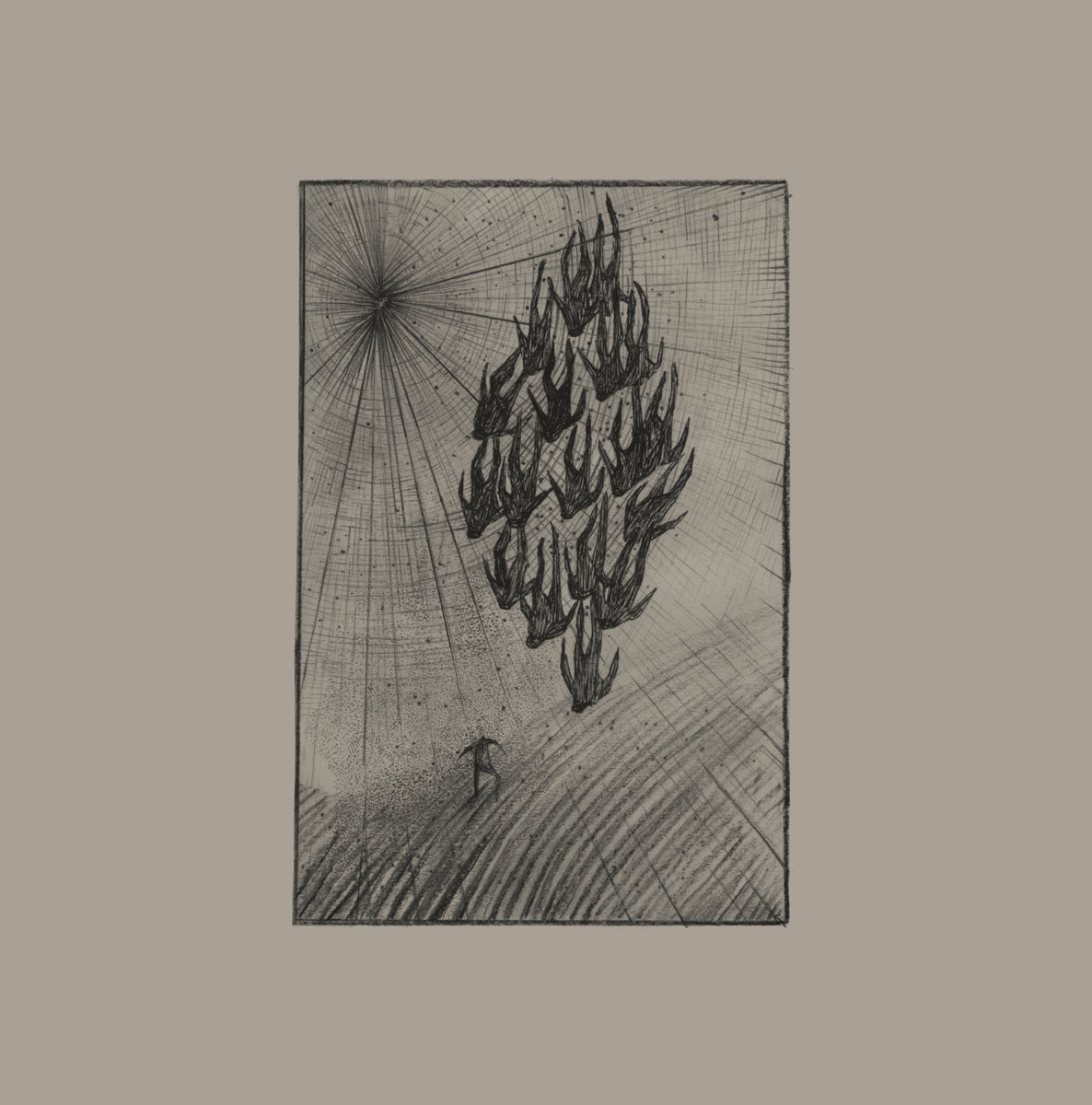 Áine O'Dwyer – Locusts [LP]
